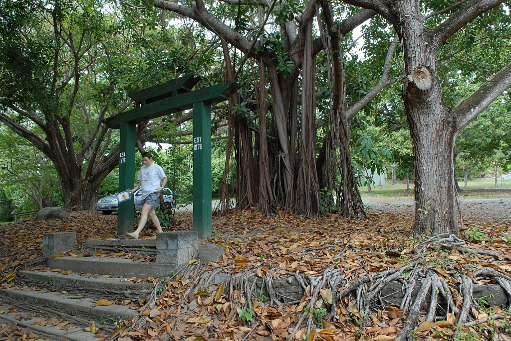 0034 Port Douglas.jpg